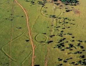 Amazonas