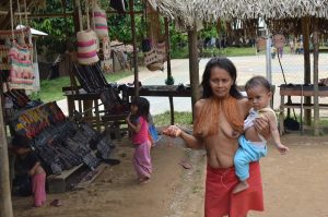 Amazonas (Foto Periodismo Sin Fronteras)