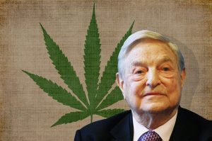 soros-marihuana