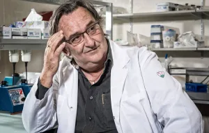 beda m stadler